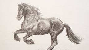 Learning to Draw: How to Draw a Horse - Fine Art-Tips.