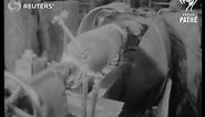 SOUTH AFRICA: World War II: Marshal Smuts at Air Display: bomb factory: military parade (1941)
