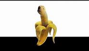 Banana doge_nelson