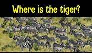 Find the Animal Game | Can you find the hidden animals?