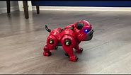 Robot Dog Toys