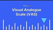 Visual Analogue Scale VAS