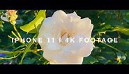 iPhone 11 | 4k Footage | A selection of test shots (4K)