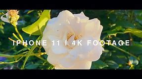 iPhone 11 | 4k Footage | A selection of test shots (4K)