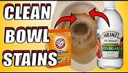 How to Clean Toilet Bowl Stains With Baking Soda & Vinegar