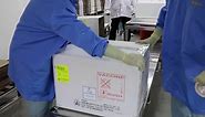 Vaccine manufacturing at scale