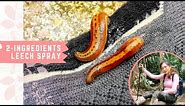 How to Make Leech Repellent Spray with Just 2 INGREDIENTS