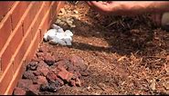 What Colors of Landscaping Rocks Go With Red Brick? : Landscaping Materials & Techniques
