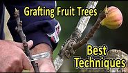 Grafting Fruit Trees | The 2 Best Techniques for Grafting Figs and other fruit trees