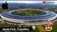 Inside Apple headquarters at Cupertino | Apple Park | Working at Apple