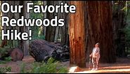 Jedediah Smith Redwoods State Park - Favorite Forest in Crescent City CA - Fifth Wheel Lifestyle Ep4