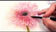 Flower Watercolor Painting - How to Paint A Pink Daisy