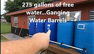 Ganging 5 Rain Barrels for HUNDREDS of GALLONS of Free Water
