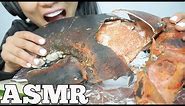 ASMR GIANT CLAW from a 15lb LOBSTER (EATING SOUNDS) NO TALKING | SAS-ASMR
