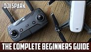 DJI Spark Beginners Guide to the CONTROLLER