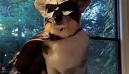 Bat-ffiti is watching over us all 🦇 #corgi #dog #dogsincostume #batman #fyp | Bradythecorgi