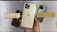 Review iPhone 12 Pro ibox ditahun 2023