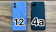 iPhone 12 vs Google Pixel 4a