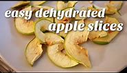 How To Dehydrate Apples (In A Food Dehydrator)