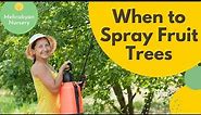 When to Spray Fruit Trees Overview