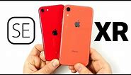 iPhone SE 2020 vs iPhone XR - Which Should You Buy?