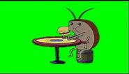 SpongeBob Green Screen: Cockroach Eating Krabby Patty