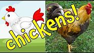 Chickens! Ultimate Chicken Facts and Interactive Chicken Games for Preschoolers and Toddlers