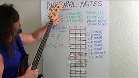 Bass Guitar For Beginners What Bassists Should Know