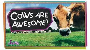 4 Reasons Cows are Awesome! | Animal Science for Kids