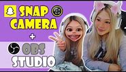 HOW TO INSTALL AND USE SNAP CAMERA ON OBS STUDIO | FILTER FUN!