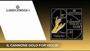 SOUND DEMO & FEATURES 🎻🎶 LARSEN Strings Il Cannone GOLD for Violin