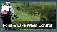 How to Manage Pond Weeds- Pond & Lake Weed Control