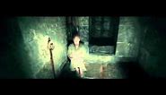 Harry Potter & the Deathly Hallows Part 1: Voldemort finds Gellert Grindelwald (HD)