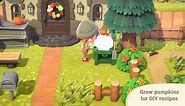 y2mate.com% Animal Crossing_ New Horizons Fall Update – Nintendo Switch_1080p