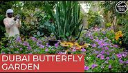 Inside the world’s largest indoor butterfly garden in Dubai