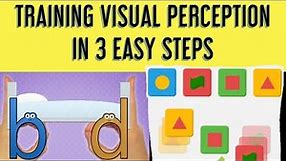 Visual Perceptual Therapy- How to Improve Visual Perception in Children?