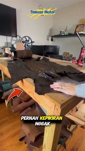 Temuan Muhsi on Instagram: "Proses Rahasia di Balik Kulit Buaya Super Mengkilap Kilap pada produk kulit buaya mewah bukan berasal dari pelapis kimia biasa, ada proses tradisional bernama glazing, di mana protein alami dan tekanan presisi dipadukan menggunakan batu permata agate. Teknik ini mengunci kilap dari dalam kulit, mengangkat minyak alaminya ke permukaan, dan menghasilkan efek mengkilap yang dalam, tahan lama, serta tak bisa ditiru dengan cara instan. #temuanmuhsi #berbagiinfo #infomenari