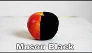 Musou Black—The (New) World's Blackest Paint Turns Anything Into A Shadow
