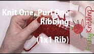 Knit One, Purl One Ribbing - 1 x 1 Rib