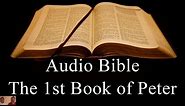 The First Book of Peter - NIV Audio Holy Bible - High Quality and Best Speed - Book 60