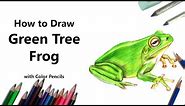 How to Draw a Green Tree Frog with Color Pencils [Time Lapse]