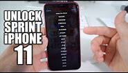 How To Unlock iPhone 11 From Sprint to Any Carrier