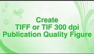 Steps to Create TIFF or TIF 300 dpi Publication Quality Figure using Photoshop