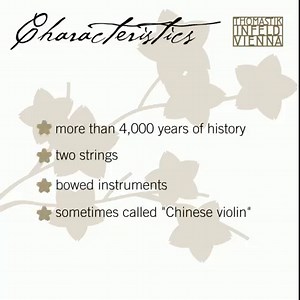 Part two: meet erhu! Today in our Chinese instrument series we feature this traditional two stringed instrument, also called the Chinese violin. 🎻 Being world famous for violin strings, we couldn’t help but design strings for erhu as well. 😉 | Thomastik-Infeld