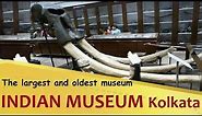 "INDIAN MUSEUM" The largest and oldest museum in India | Kolkata | West Bengal Tourism