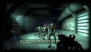 Half-Life 2: Episode Two - Antlion Battle
