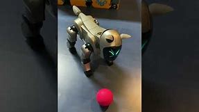Entertainment Robot Dog Sony AIBO ERS-210 Gold running with Life 2