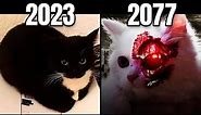 evolution of Meme Cats