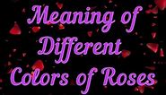 Meaning of Different Colors of Roses - What do different rose colors symbolize?
