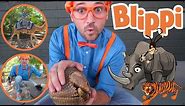Blippi | Blippi Visits a Zoo (Phoenix Zoo) + MORE ! | Songs for Kids | Educational Videos for Kids